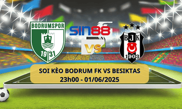 Bodrumspor vs Beşiktaş
